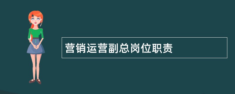 营销运营副总岗位职责