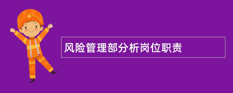 风险管理部分析岗位职责