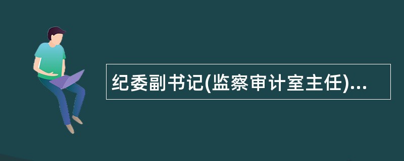 纪委副书记(监察审计室主任)岗位职责