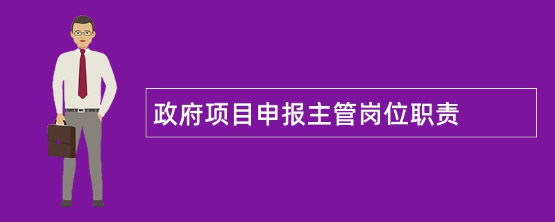 政府项目申报主管岗位职责