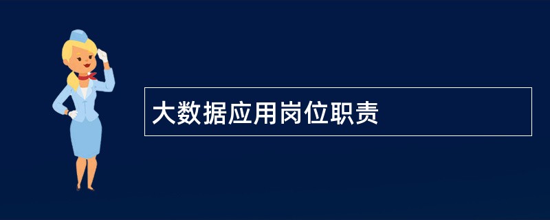 大数据应用岗位职责