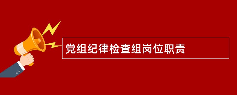 党组纪律检查组岗位职责