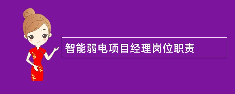 智能弱电项目经理岗位职责