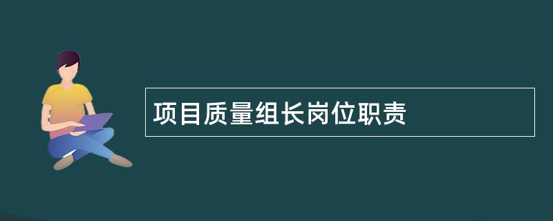 项目质量组长岗位职责