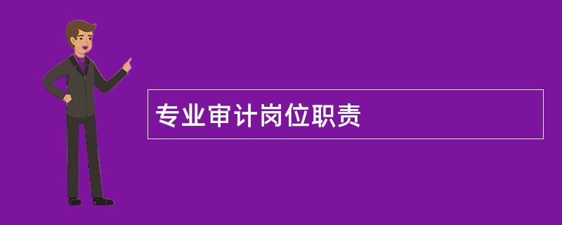 专业审计岗位职责