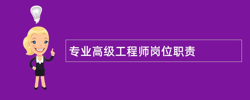 专业高级工程师岗位职责