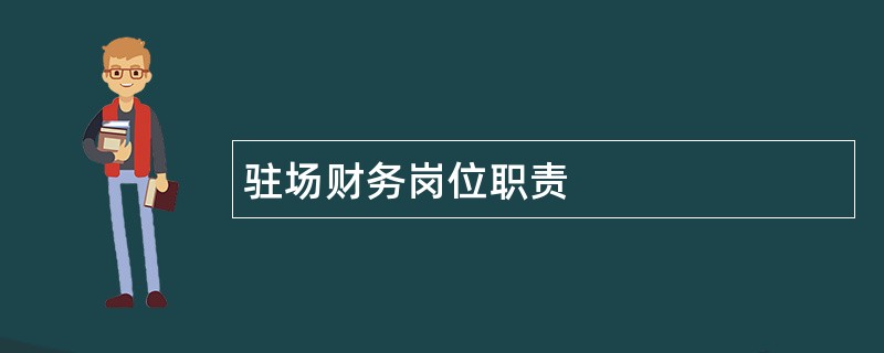 驻场财务岗位职责