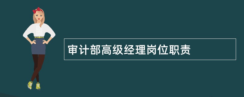 审计部高级经理岗位职责