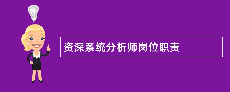 资深系统分析师岗位职责