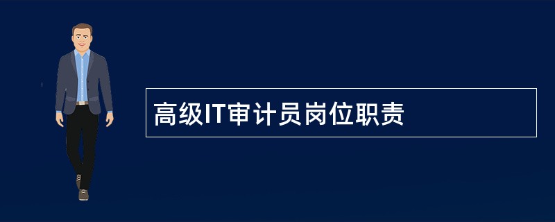 高级IT审计员岗位职责