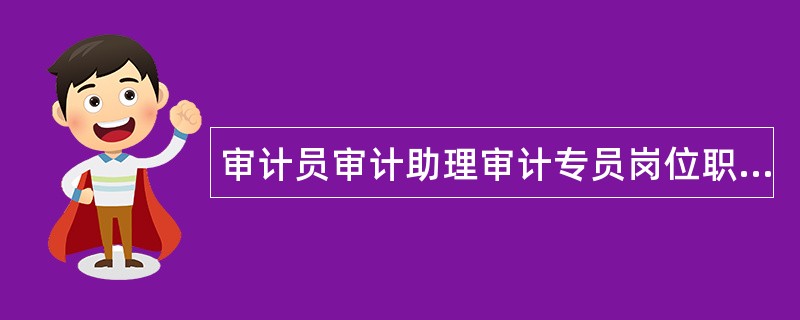 审计员审计助理审计专员岗位职责