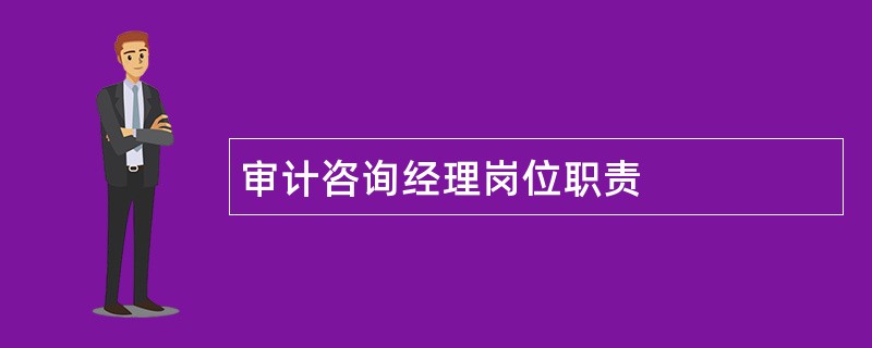 审计咨询经理岗位职责