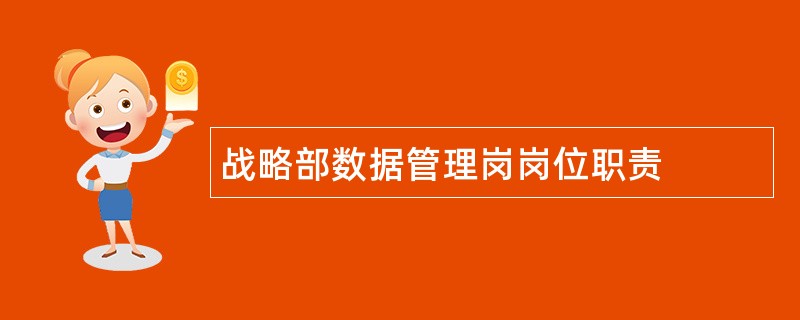 战略部数据管理岗岗位职责