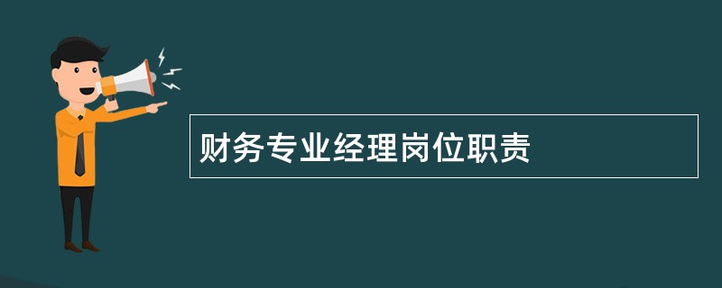 财务专业经理岗位职责