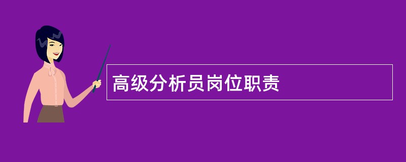 高级分析员岗位职责