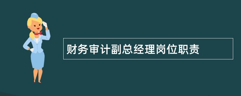 财务审计副总经理岗位职责