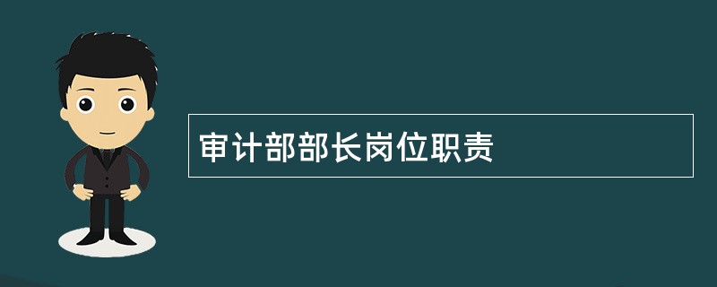 审计部部长岗位职责