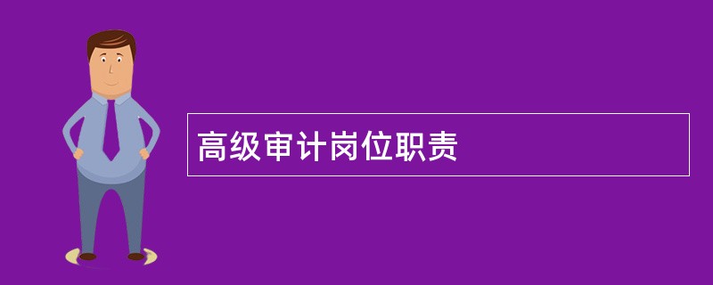 高级审计岗位职责