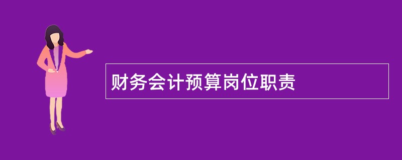 财务会计预算岗位职责