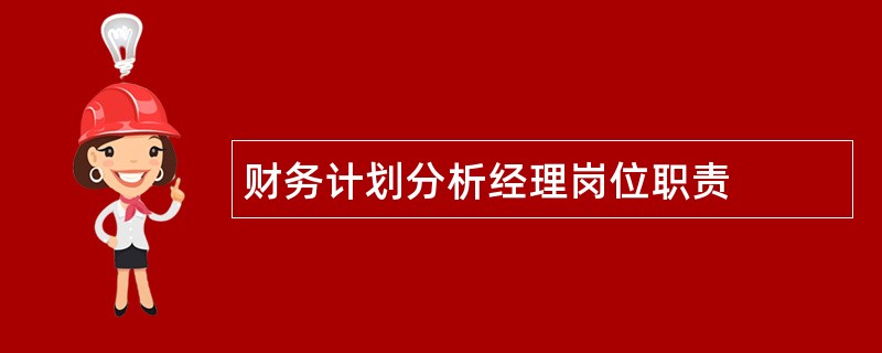 财务计划分析经理岗位职责