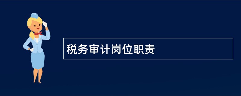 税务审计岗位职责