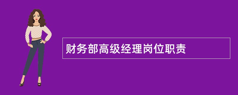 财务部高级经理岗位职责