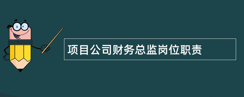 项目公司财务总监岗位职责