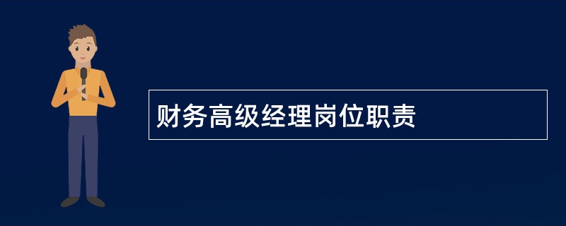 财务高级经理岗位职责