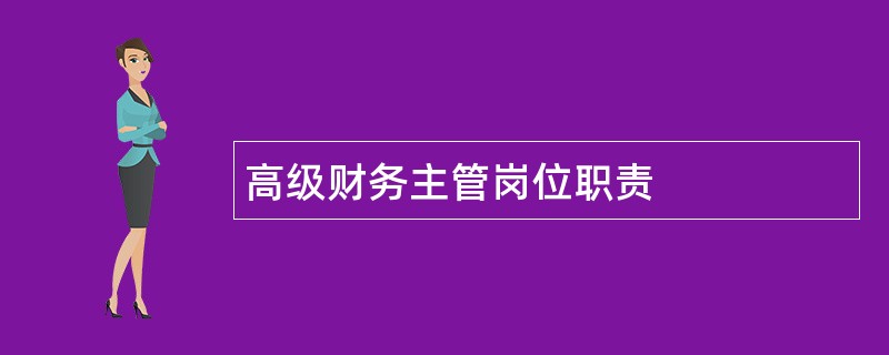 高级财务主管岗位职责