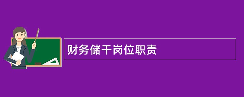 财务储干岗位职责