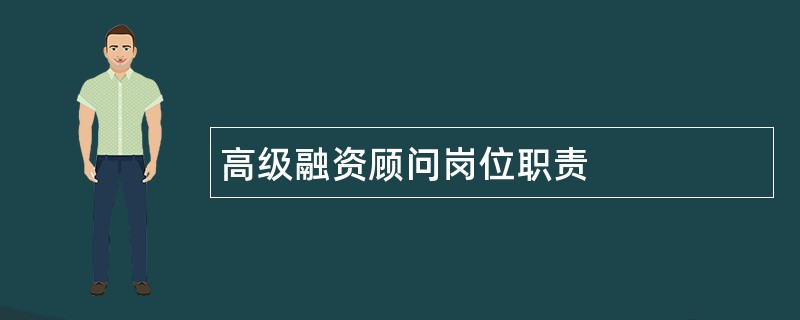 高级融资顾问岗位职责