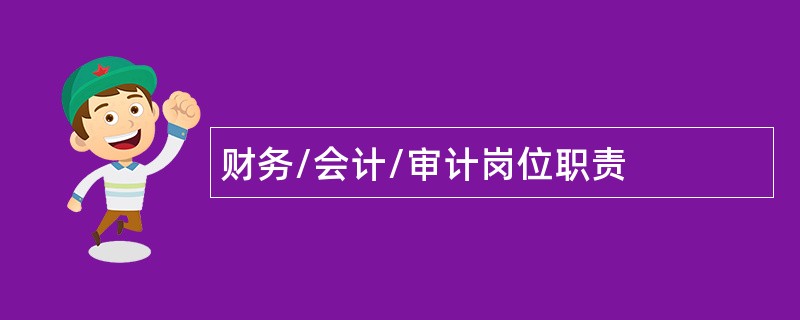 财务/会计/审计岗位职责