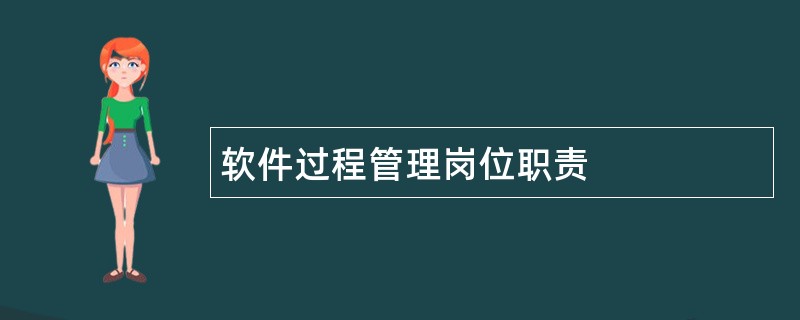 软件过程管理岗位职责