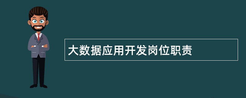 大数据应用开发岗位职责