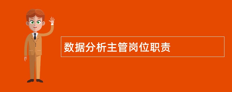 数据分析主管岗位职责