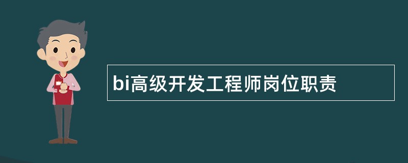 bi高级开发工程师岗位职责