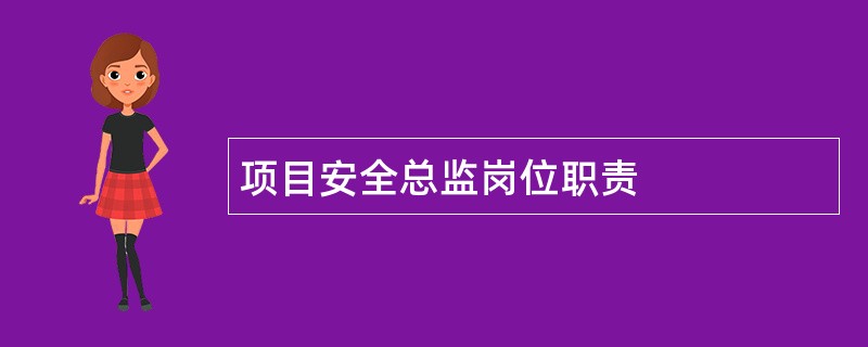 项目安全总监岗位职责