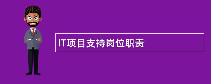 IT项目支持岗位职责