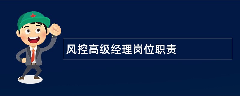 风控高级经理岗位职责