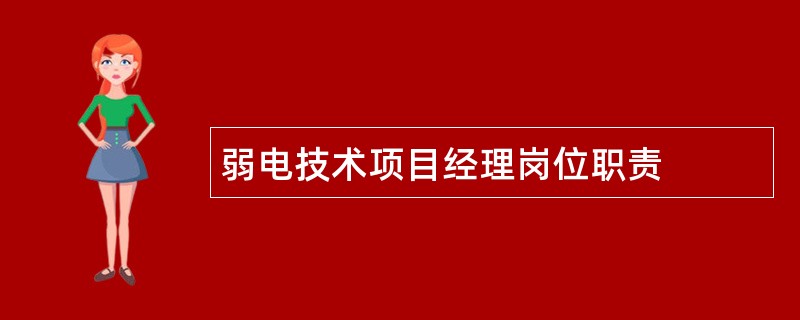 弱电技术项目经理岗位职责