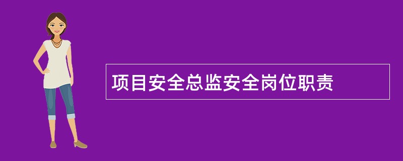 项目安全总监安全岗位职责