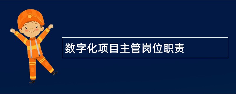 数字化项目主管岗位职责