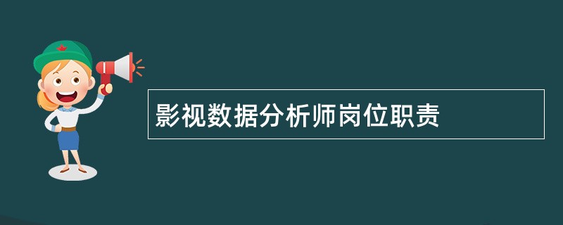 影视数据分析师岗位职责