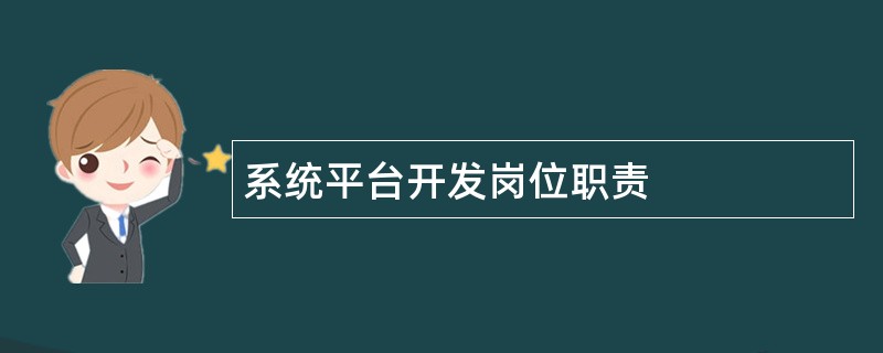 系统平台开发岗位职责