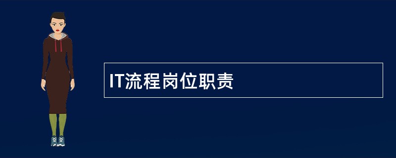 IT流程岗位职责