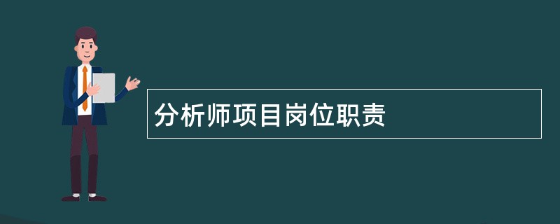 分析师项目岗位职责