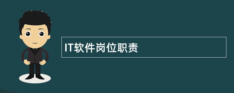 IT软件岗位职责