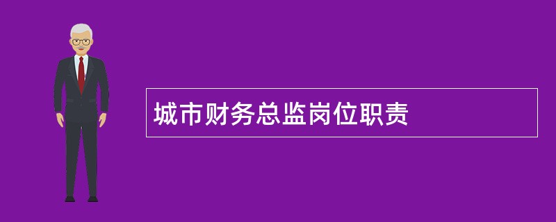 城市财务总监岗位职责