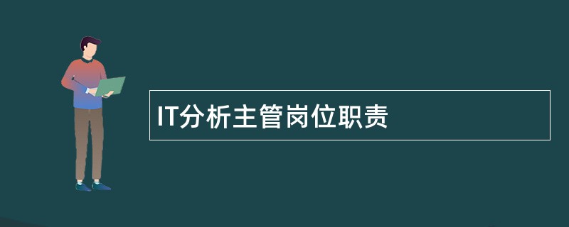 IT分析主管岗位职责