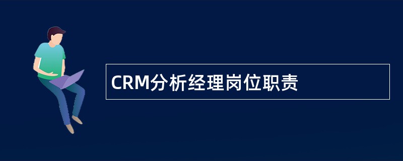 CRM分析经理岗位职责